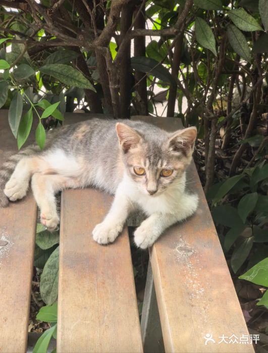 君之悦·影院式足道·养生SPA(回兴店)图片