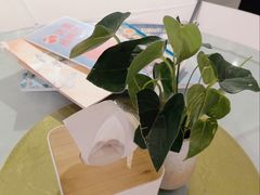 -眉州东坡(华联万柳店)