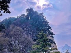 -华山风景名胜区