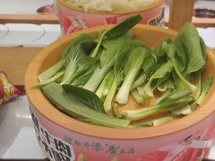 -龍歌自助小火锅(崂山丽达店)