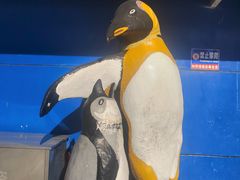 -太平洋海底世界