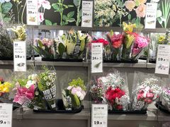 -鹿岛会员店(熙地港店)