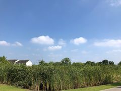 -梁鸿国家湿地公园