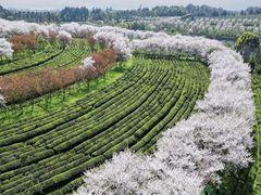 -凤凰沟景区
