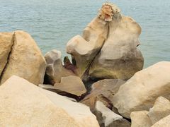 -那琴半岛地质海洋公园