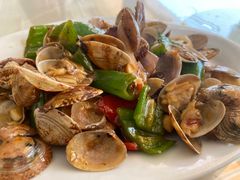 -西涌国际滨海旅游区