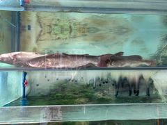 -食理八湘(中海城风情苑北区店)