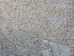 -长洲岛都市农业公园