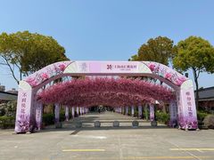 -南汇桃花村