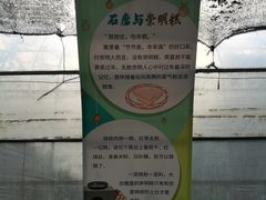 -前小桔亲子创意农场·草莓采摘·露营烧烤