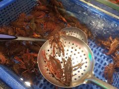 -甄品麦哲伦海鲜和牛自助(万达广场店)
