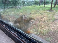 -石家庄市动物园