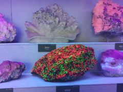 -湖南省地质博物馆