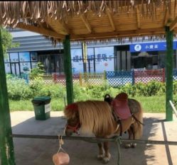 -萌宠亲子动物乐园(槐房万达店)