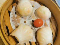 金牌虾饺皇-点都德(千灯湖环宇城店)