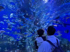 -顺德南宏海立方海洋公园