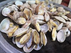 石锅花甲-千叶寿司创意融合料理(水韵城店)