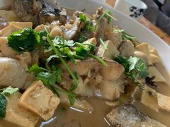 -煲来饱去冷水鱼