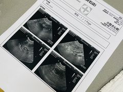 -爱侣宠医·鹦鹉专科·小型哺乳类·异宠专科(灵石路店)