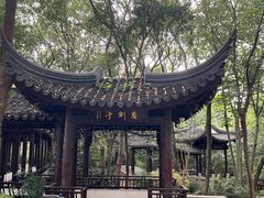 -上海佘山国家森林公园天马山园