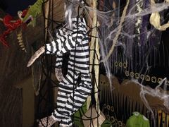 iphone_upload_pic-胡姬港湾幼儿园(龙华丰谷园)