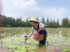 -上海长兴岛郊野公园