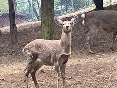 -佛冈森波拉度假区