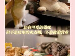 -咖法森林·咖啡  酒吧(天河店)