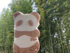 -成都大熊猫繁育研究基地