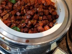 -虹桥机场国航贵宾室v8