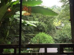 -十八棵（老龙井）御茶园(老龙井店)