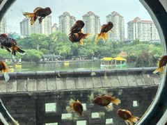 -珠海圆明新园