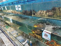 水产区-范饭椰林川湘味海鲜·椰子鸡(三亚湾椰梦长廊店)