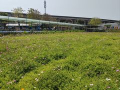 -新地休闲农场