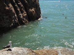 -海驴岛(荣成市)
