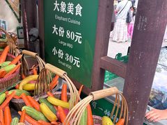 -野象谷景区