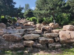 -莫子山公园