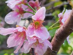 -王借岗森林公园