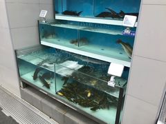 -盒马鲜生(大成店)