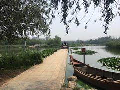 -前关湿地公园