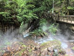 -五女峰国家森林公园