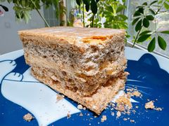 -广州白天鹅宾馆