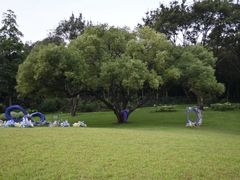 -云溪植物园