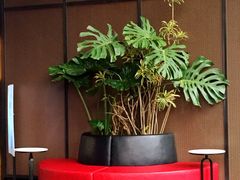 等位区-BLAQ咖啡(骏豪店)