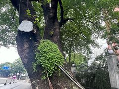 -广州中山纪念堂