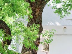 -湖北美术学院(昙华林校区)