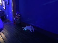 -星宿秘码(鼓浪屿老店)