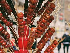 -石家庄市动物园