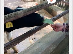 -昆明动物园
