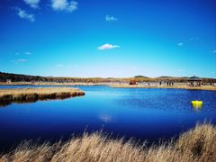 -塞罕坝国家级自然保护区